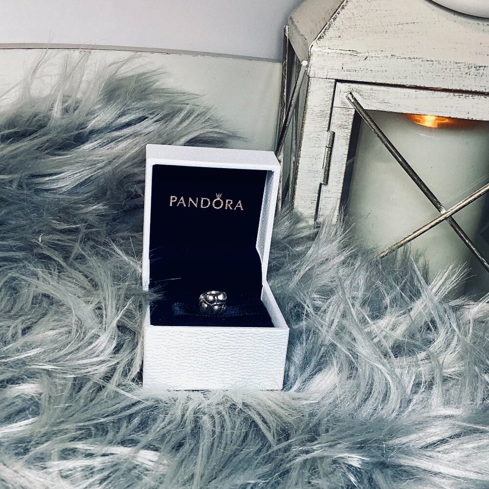 Pandora Journey Charm 925 Sterling Silver 790401 Retired